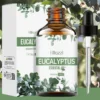 Eucalyptus Essential Oil 100ml