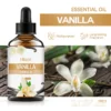 Vanilla 60ml