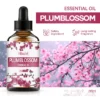 Plum Blossom 60ml