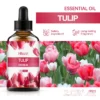Tulip 60ml