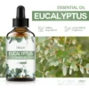 Eucalyptus 60ml