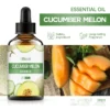 Cucumber Melon 60ml