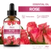 Rose 60ml