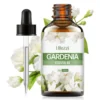 Gardenia 60ml