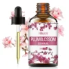 Plum Blossom 60ml