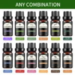 Hllozzi 100% Pure Essential Oils Set for Aromatherapy & Massage - 10ml